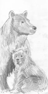 Grizzly bear and cub drawing